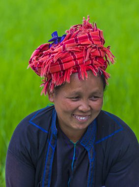 Bir pirinç alan, Birmanya çiftçi 