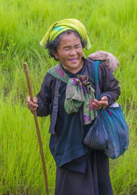 Myanmar Birmanya çiftçi