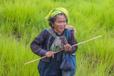 Myanmar Birmanya çiftçi