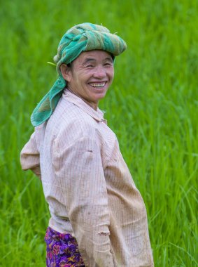 Bir pirinç alan, Birmanya çiftçi 