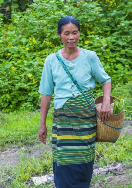 Myanmar Birmanya çiftçi