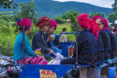 Pao kabile kadın Myanmar