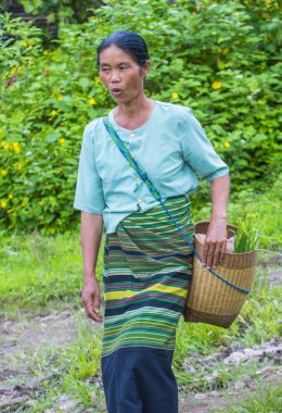 Myanmar Birmanya çiftçi