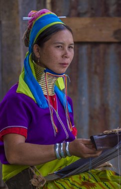 Kayan kabile kadın Myanmar portresini