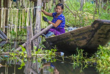 Inle Gölü Myanmar kayan Bahçe 