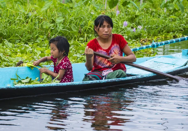 Inle Gölü Myanmar kayan Bahçe 