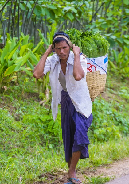 Agricultor birmano en Myanmar — Foto de Stock