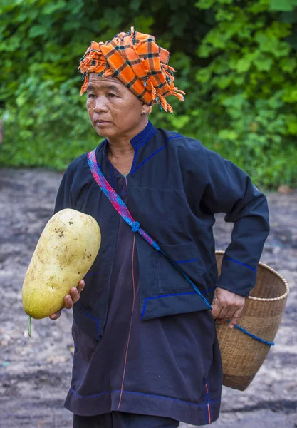 Pao kabile kadın Myanmar portresini