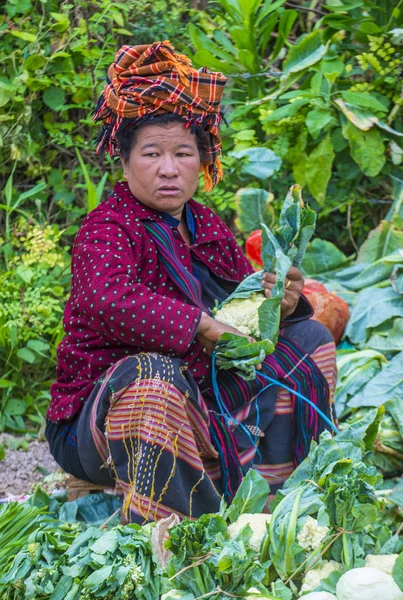 Pao kabile kadın Myanmar portresini