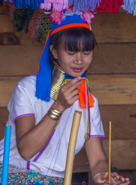 Kayan kabile kadın Myanmar portresini