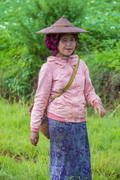 Burmesischer Bauer in Myanmar — Stockfoto