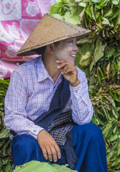 tembul yaprak satıcı Myanmar