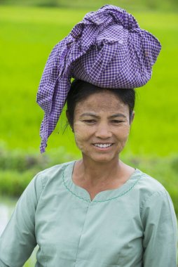 Bir pirinç alan, Birmanya çiftçi 