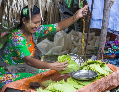 tembul yaprak satıcı Myanmar