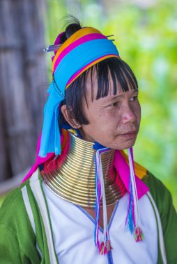 Kayan kabile kadın Myanmar portresini
