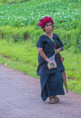 Myanmar Birmanya çiftçi