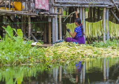 Inle Gölü Myanmar kayan Bahçe 