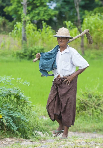 Myanmar Birmanya çiftçi