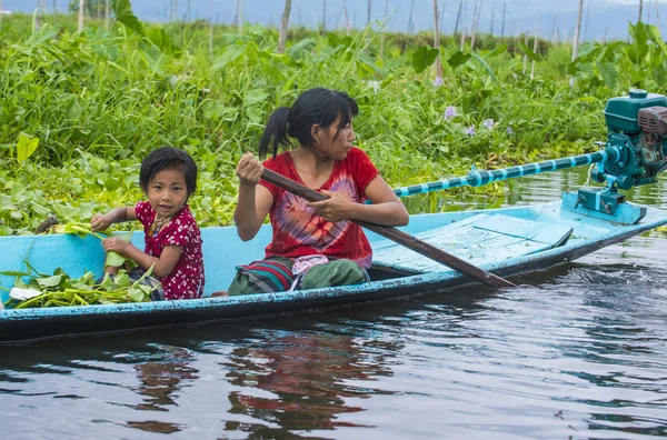 Inle Gölü Myanmar kayan Bahçe 
