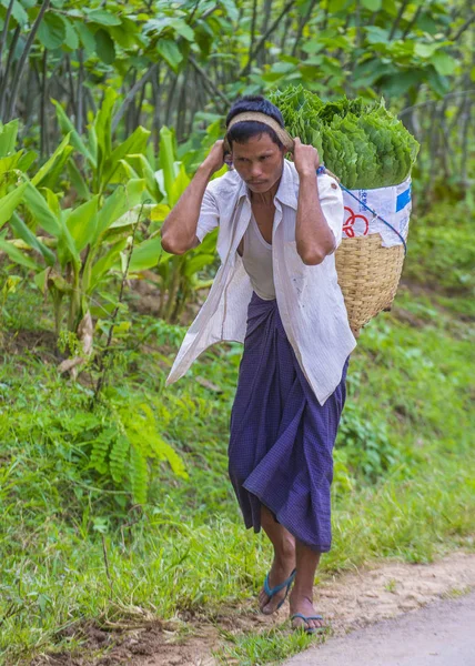 Myanmar Birmanya çiftçi — Stok fotoğraf