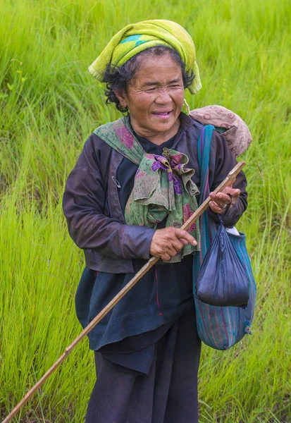 Myanmar Birmanya çiftçi