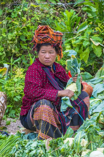 Pao kabile kadın Myanmar portresini
