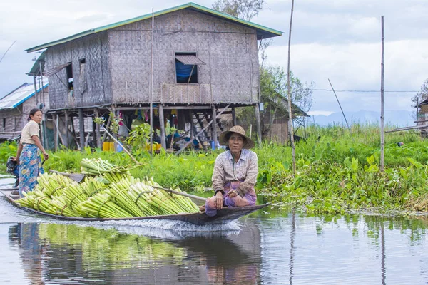 Intha kadın onun tekne Inle Gölü Myanmar