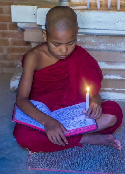 Acemi keşiş bagan Myanmar içinde