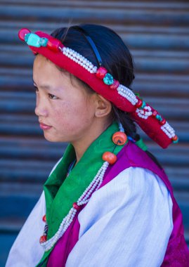 Ladakh Festivali 2017