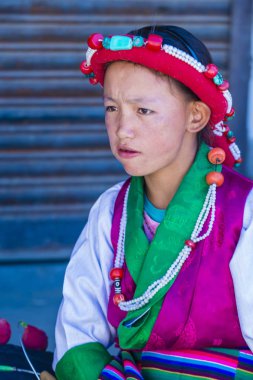 Ladakh Festivali 2017