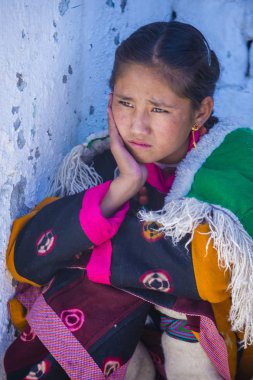 Ladakh Festivali 2017