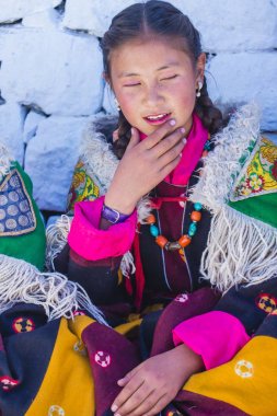 Ladakh Festivali 2017