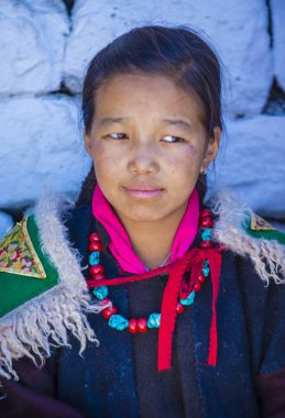 Ladakh Festivali 2017