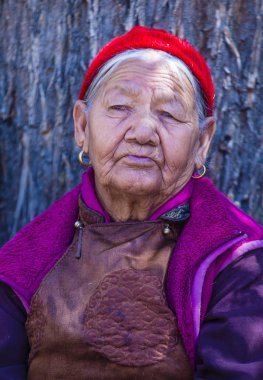 Ladakh Festivali 2017