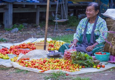 Sebze satıcı Myanmar