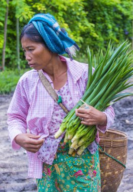 Sebze satıcı Myanmar