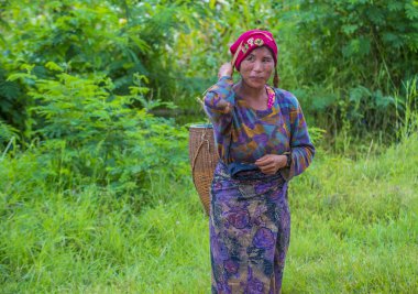 Myanmar Birmanya çiftçi