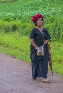 Myanmar Birmanya çiftçi