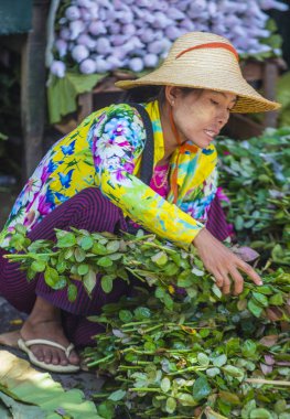 Sebze satıcı Myanmar