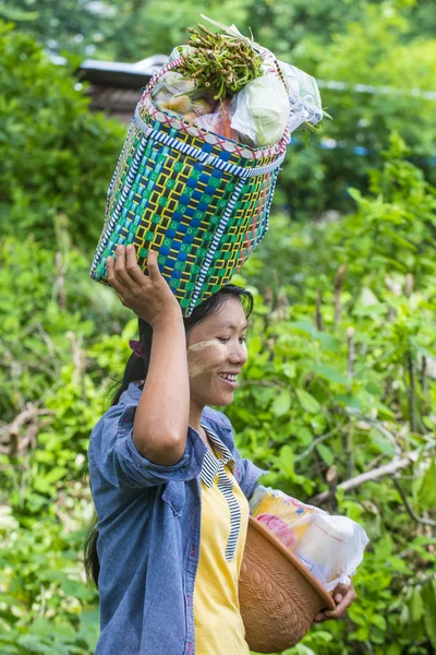 Myanmar Birmanya çiftçi — Stok fotoğraf