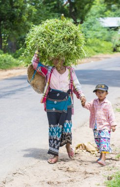 Myanmar Birmanya çiftçi
