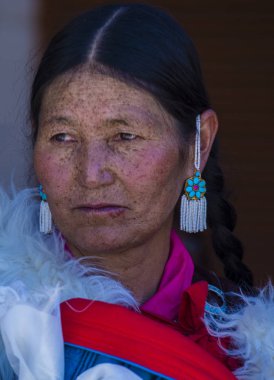 Ladakh Festivali 2017