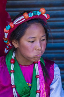 Ladakh Festivali 2017