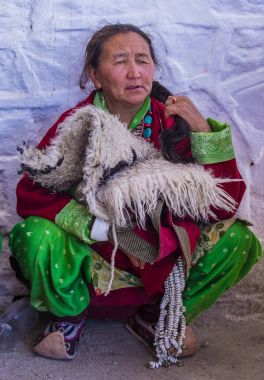 Ladakh Festivali 2017