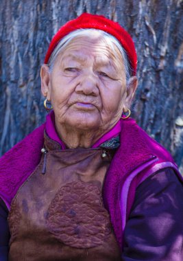 Ladakh Festivali 2017