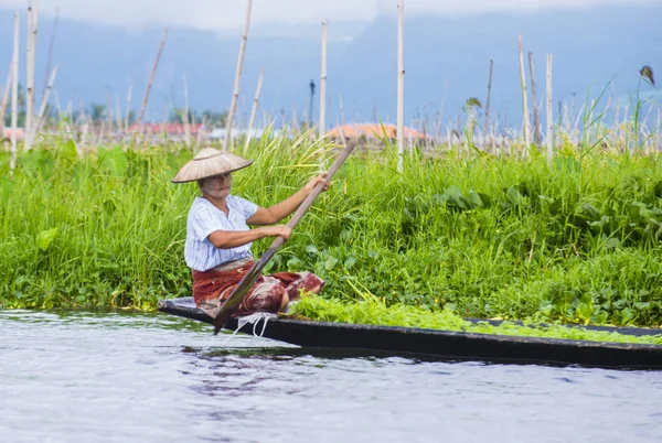 Intha žena na lodi v Myanmaru jezero Inle — Stock fotografie