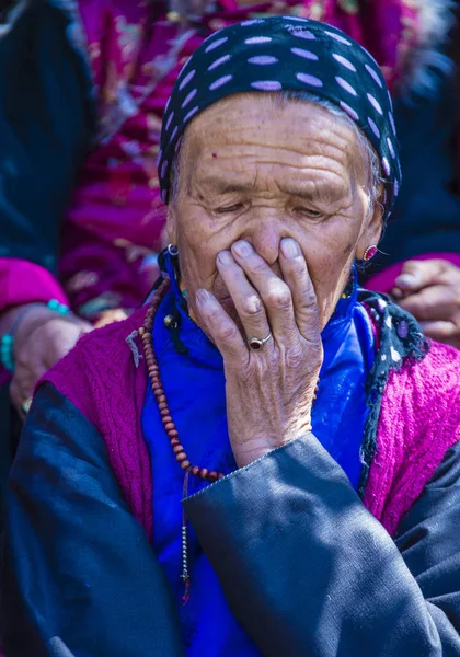 Ladakh 축제 2017 — 스톡 사진