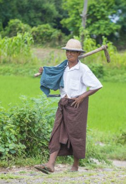 Myanmar Birmanya çiftçi