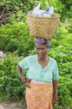 Myanmar Birmanya çiftçi