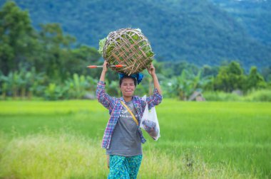 Myanmar Birmanya çiftçi